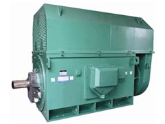 海南Y系列6KV高压电机